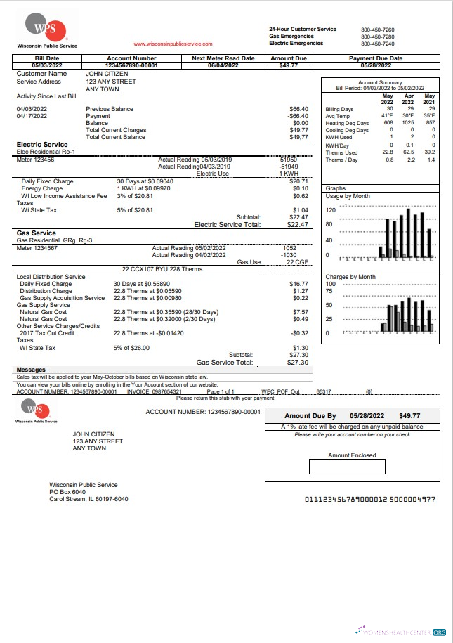 download download USA WPS utility bill template in Word and PDF format PDF template PDF template